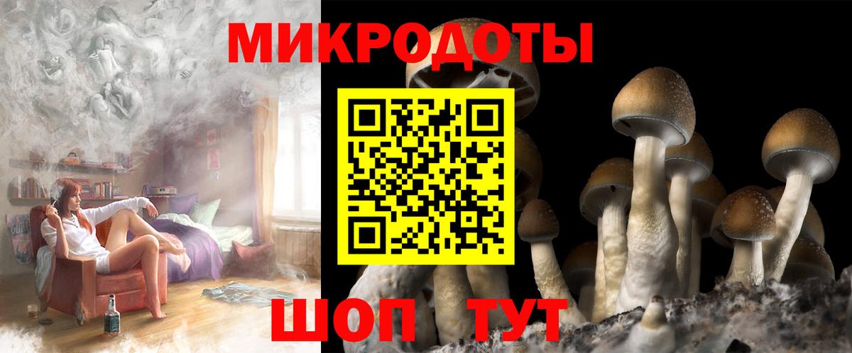Бийск  Псилоцибиновые грибы Psilocybe  Псилоцибиновые грибы Magic Shrooms  Вход с VPN 